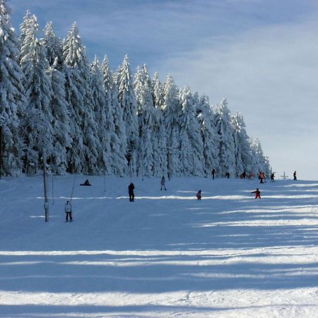 Penzion U Studeneho Potoka Nové Hute Exterior foto
