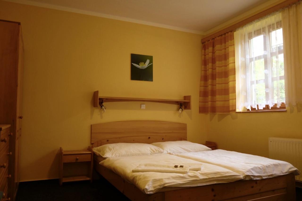Penzion U Studeneho Potoka Nové Hute Exterior foto